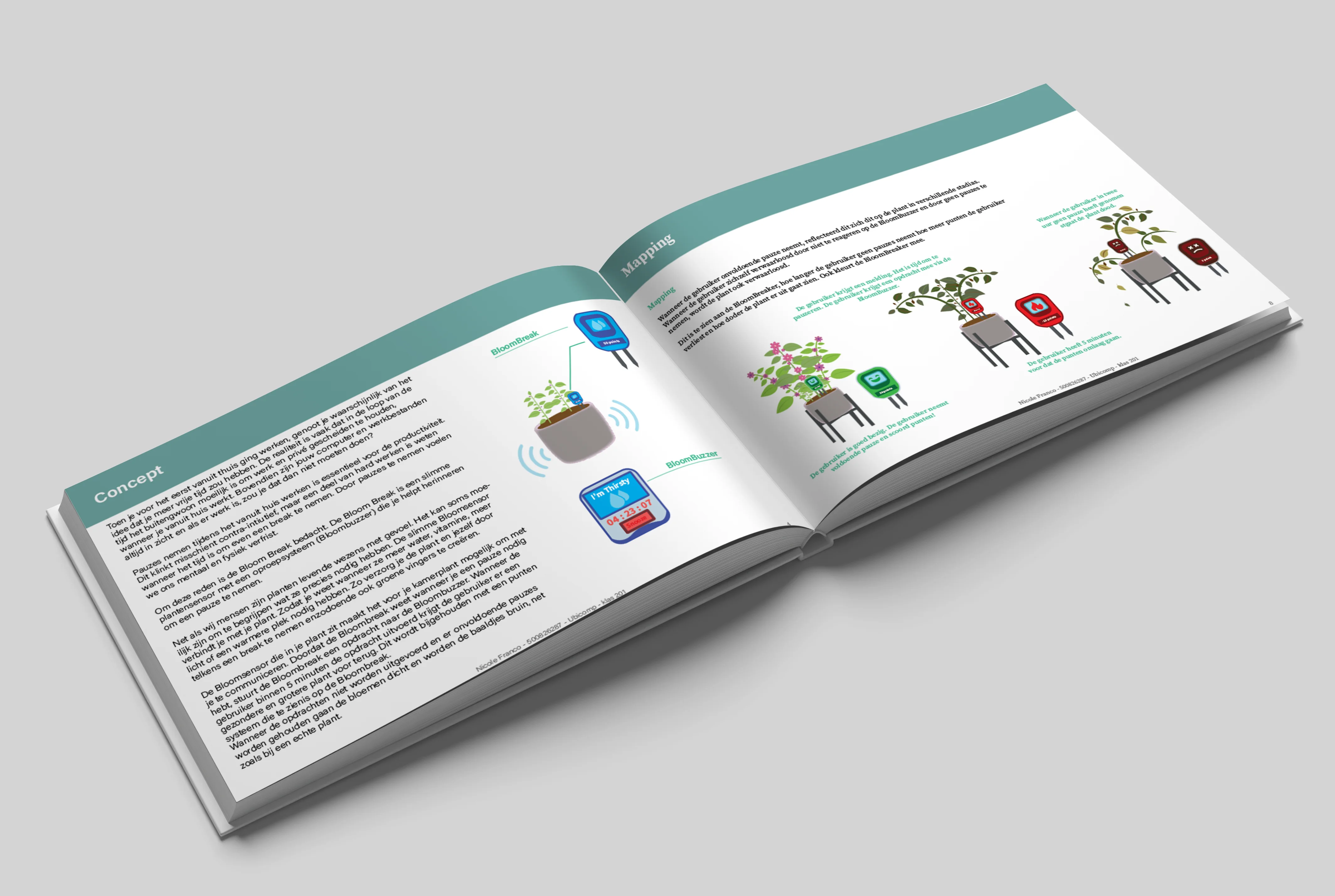 First example of the project result in a flyer format