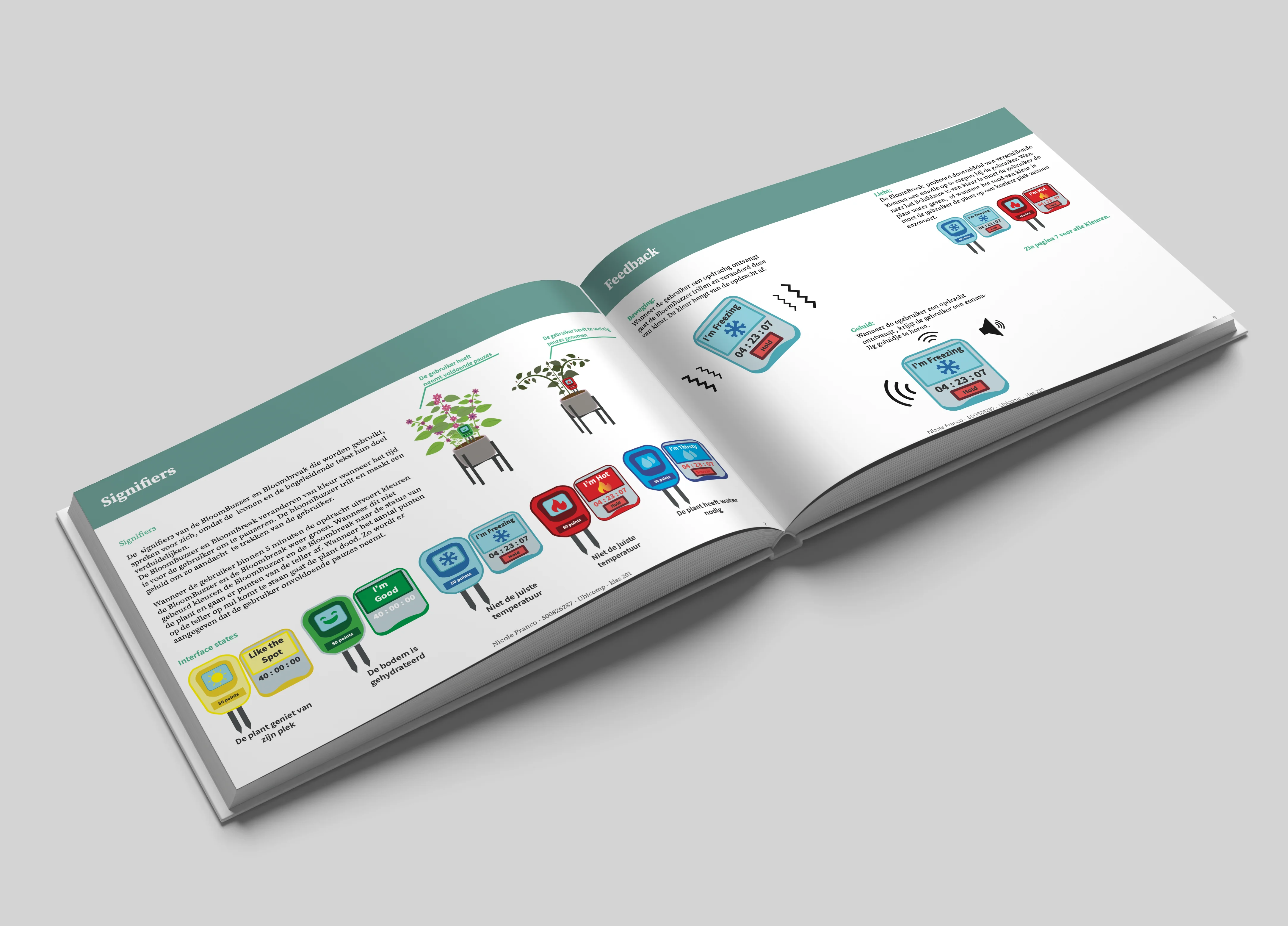 Third example of the project result in a flyer format